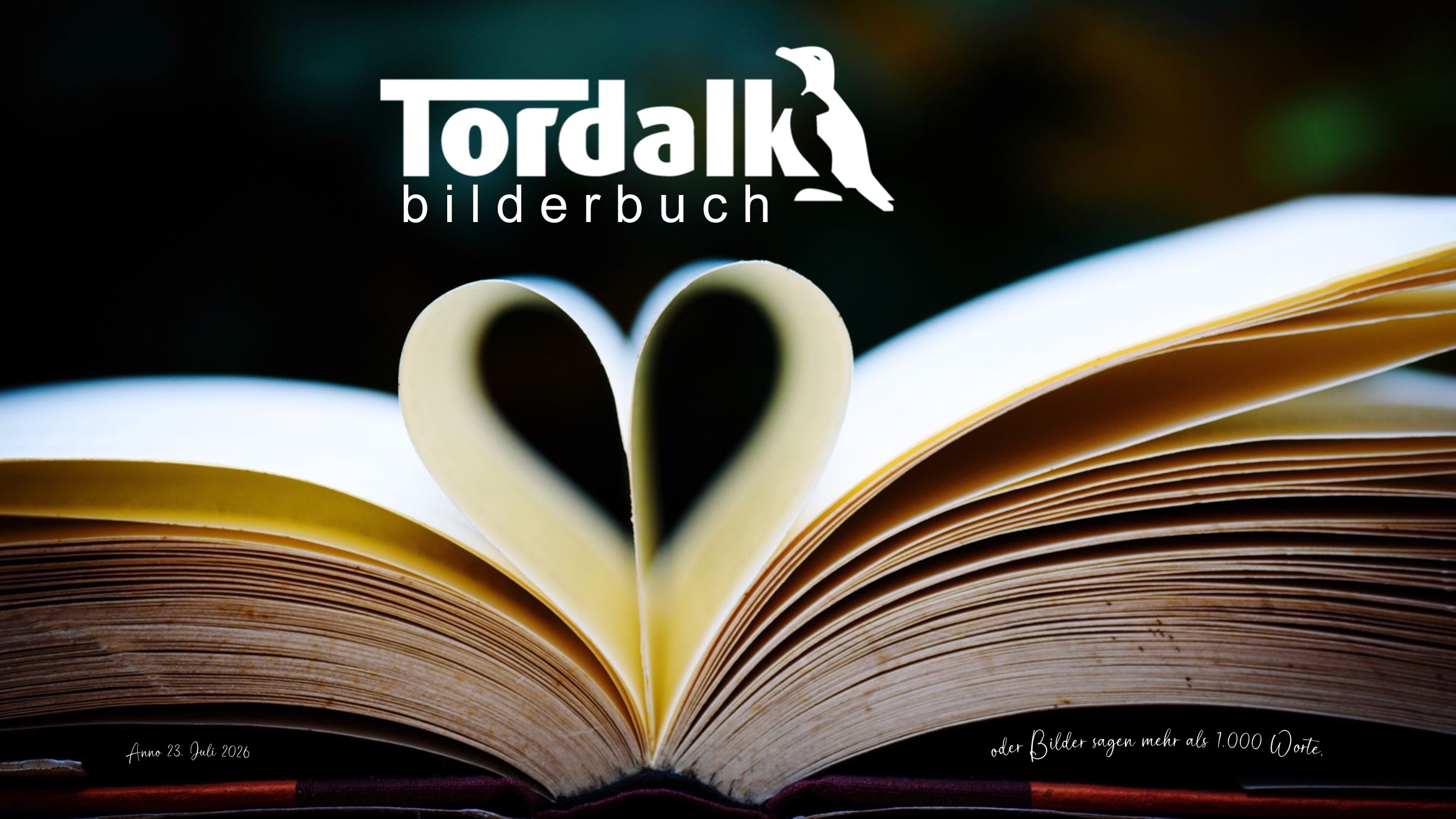 Folie 1 - Tordalk Bilderbuch